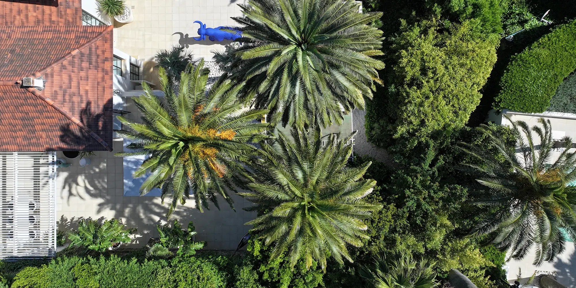 una vacanza a Mandelieu-la-Napoule